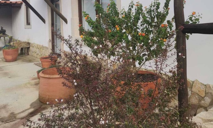 Leiria House | Charming T1 Mãe d'água, 2 km from Óbidos