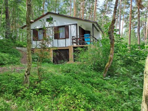 Doksy House | Chata Lucie