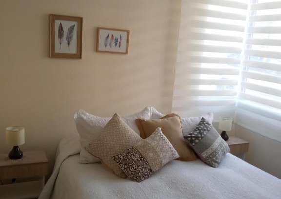 Chillan Apartment | Chillan Centro