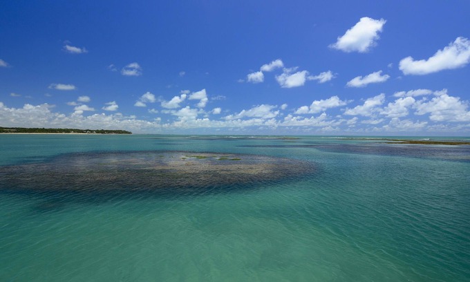 Cabedelo Apartment | Chocolate with Pepper Building