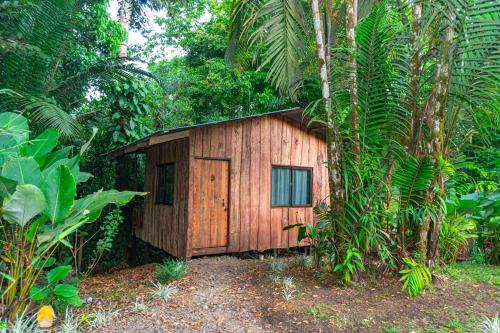 Drake Bay Hotel | Citronela Lodge Corcovado