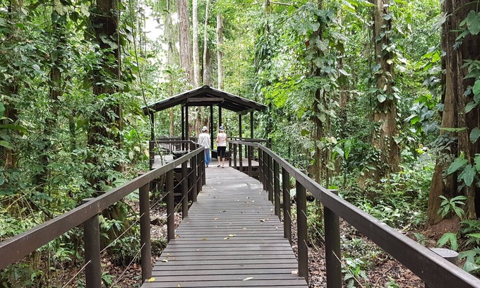 Cahuita Cabin | Ciudad Pérdida Ecolodge