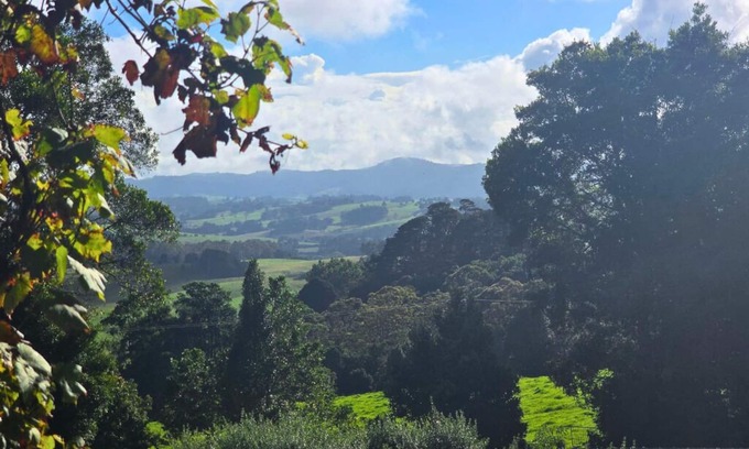 Bielsdown Hills Cottage | Clouds End Retreat is an architect-designed 1-bedroom house for up to 2 guests.