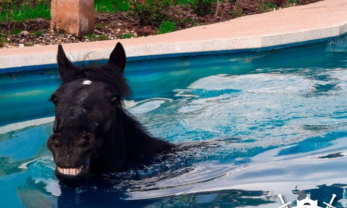 Combita Hotel | CLUB EL LLANO