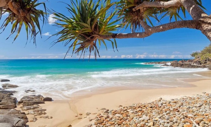 Coolum Beach House | Coastal oasis - family & pet friendly.