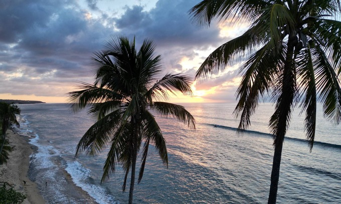 Guaniquilla Villa | Coffee, Sun, Coconuts, Hammocks, Waves, Relaxation