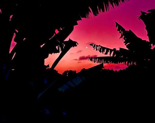 Trujillo House | CoFinca