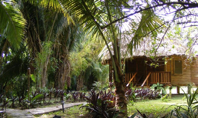 Bullet Tree Falls Resort | Cohune Palms River Cabanas