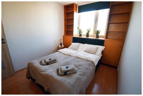 Stalowa Wola Apartment | Color Apartment Panorama