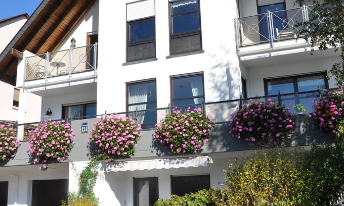 Mainz-Bingen Apartment | Comfortable apartment in the vineyards with a wonderful view of the Rhine and castles