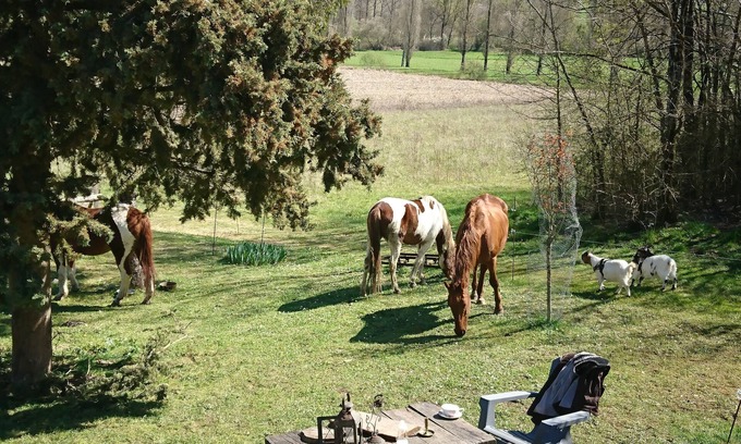 Serignac House | Comfortable Quiet House in the countryside Porte-du-Quercy for 8 people