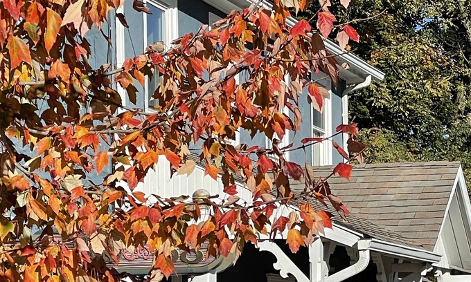 Elverson House | Comfy modernized farmhouse in small village near major roads and attractions.