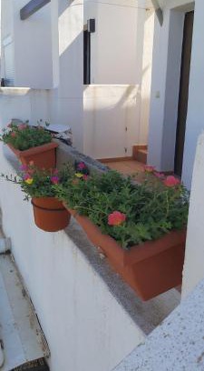 Alhama de Murcia Apartment | Condado de alhama, naranjos 8