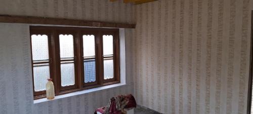 Srinagar House | Conifer view