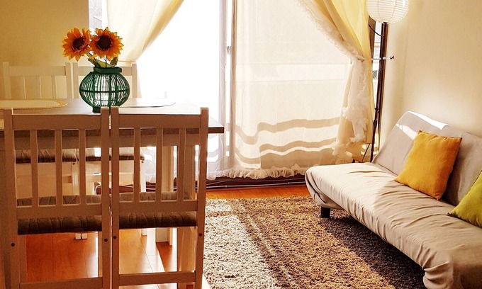 Downtown Santiago Apartment | Convenient and Bright Bellas Artes apartment