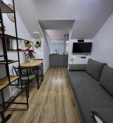 Olsztyn Apartment | Copernicus 11
