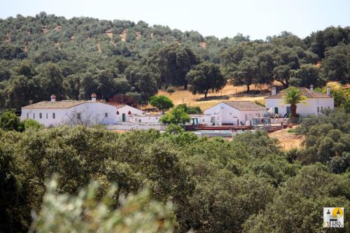 Alanis House | Cortijo Huerta Galindo
