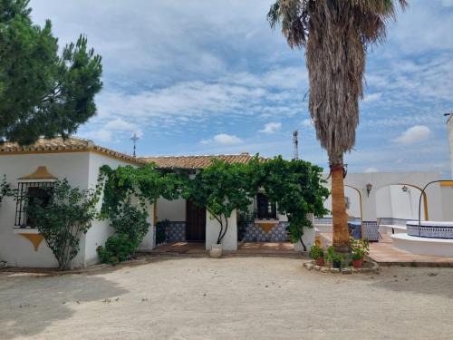 Puerto de Bejar House | Cortijo Las Cruces Guillena - Sevilla