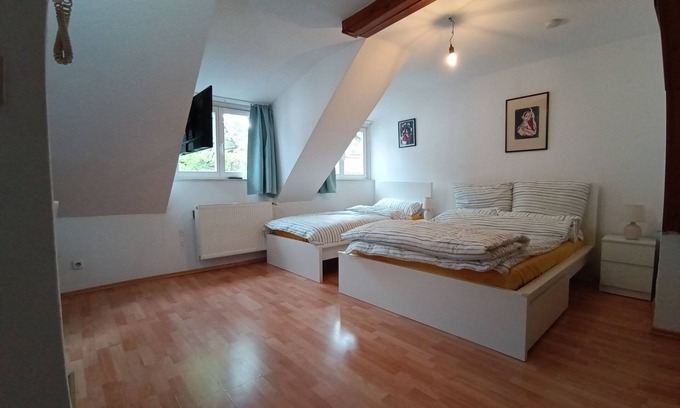 Biebrich Apartment | Cosy old Studio at Schlosspark