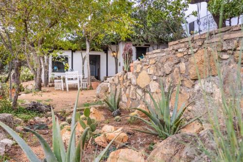 El Garrobo House | Cottage with Jacuzzi, Sierra Norte, close to Seville