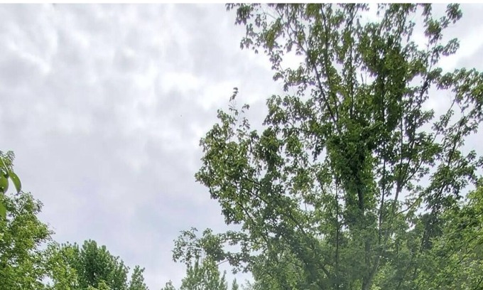 Joelton House | Country getaway minutes from Nashville