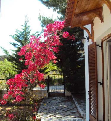 Mati House | Country House