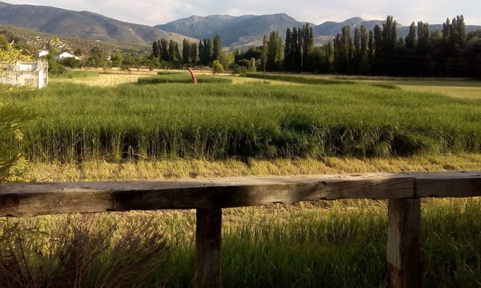 Jaen House | Country house perfectly equipped for lovers of tranquility.