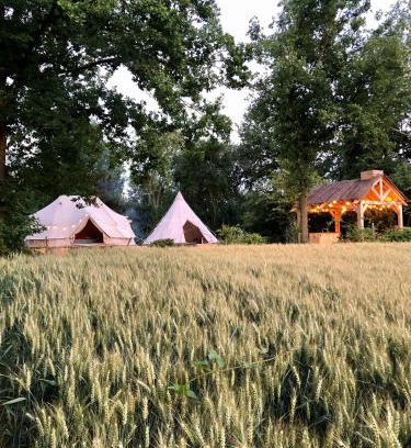 Loonbeek Other | Cowcooning/Family tents
