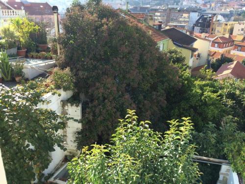Lisbon Old Town Apartment | Cozy Apartment - City Center, Sunny and Pratical