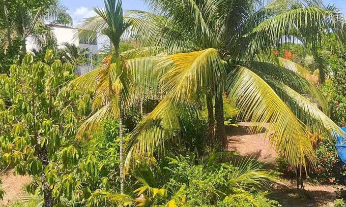 Guaibim Apartment | Cozy apartment near the beach of Taquary Pinhal Guaibim Valença oasis of peace