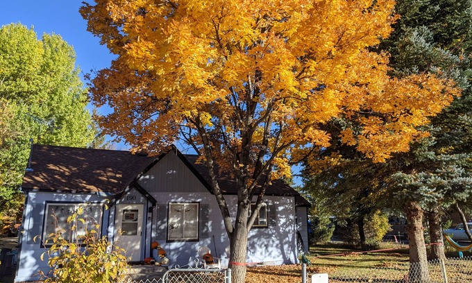 Garden City Cottage | Cozy Blue "Beary" Cottage in the heart of Garden City