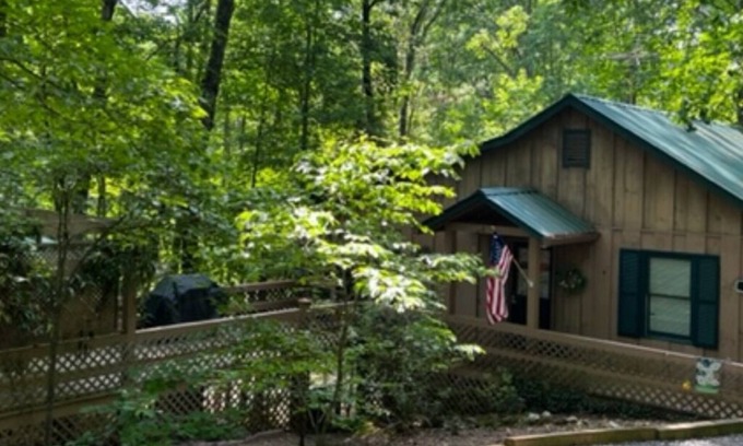 Blue Ridge Cabin | Cozy cabin nestled in woods and close to Downtown Blue Ridge!