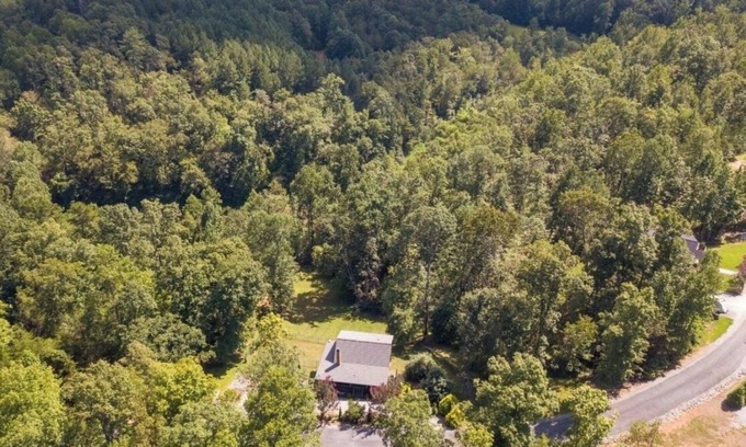 Vein Mountain Cabin | Cozy Cabin Retreat! Hot Tub, Games, Fire Pit & more! Family & Pet Friendly!