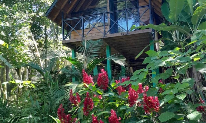 Imarui Cabin | Cozy Cabin with Private Waterfall