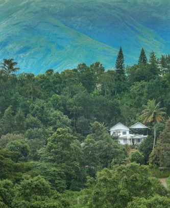 Devikolam House | Cozy cova