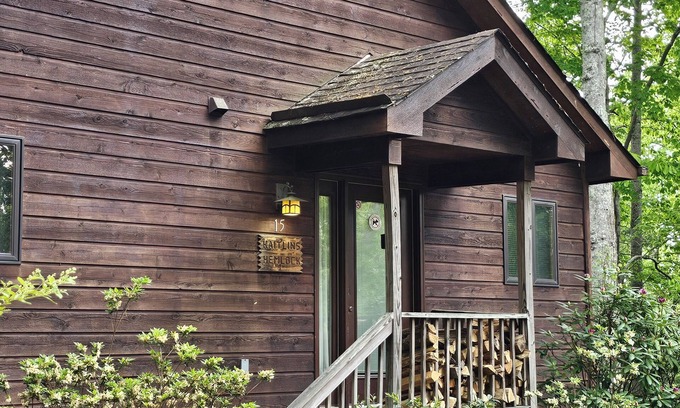 Skyland Cabin | Cozy mountain cabin w/hot tub