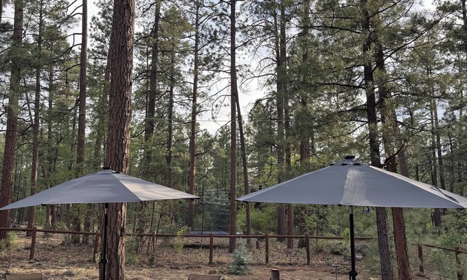 Pinetop Cabin | Cozy Pines Cabin Mountain Retreat, Pinetop Lakes CC, Golf Hike Bike Fish Relax!
