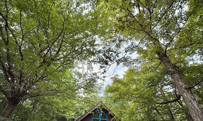 Wilmington Ski Chalet | Cozy Vermont Chalet- Nature, Comfort & Adventure.Snuggled on top of Chimney Hill