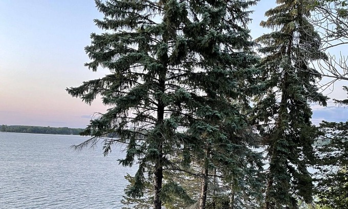 Prince Edward Cottage | Cozy waterfront cabin with incredible views