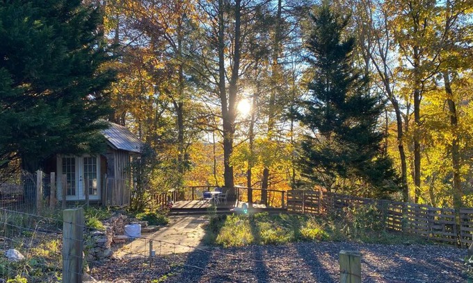 Court House House | Creek View Cabin at Skipwillow Farm - Floyd, VA
