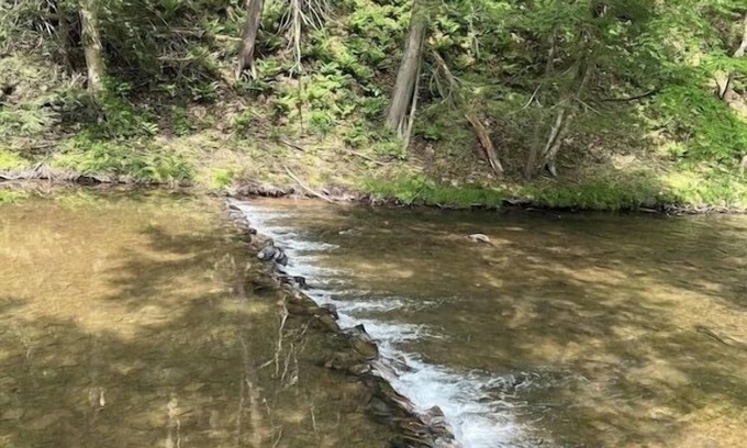 Catawissa Cottage | Creekside Cottages, Cottage #2, across from Knoebel's Amusement Resort!