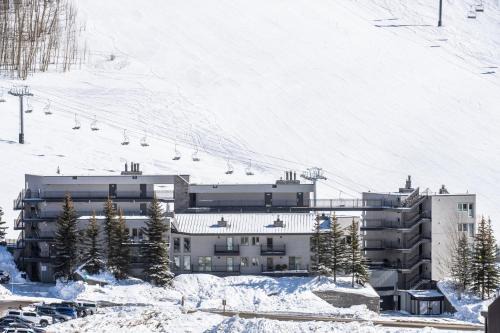 Crested Butte Resort | Crested Butte Mountain Resort Properties