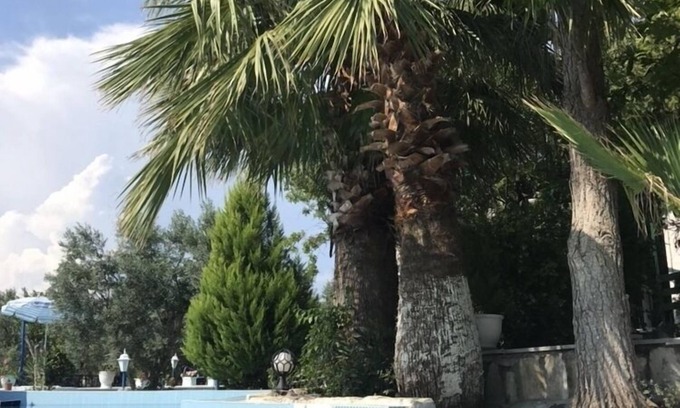 Dikili Hotel | Cumhur Yesilirmak Butiqe Hotel