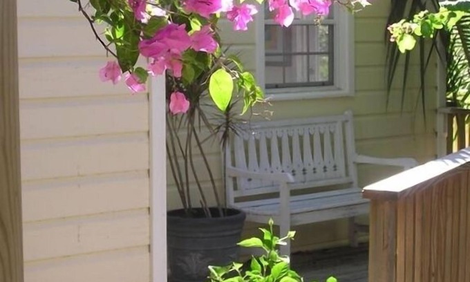 Monte Cottage | Cute Cozy Cottage with private entrance and ocean views in prime neighborhood