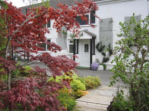 Neath House | Cwmbach Guest House