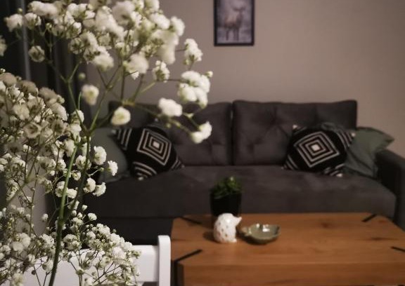 Zamosc Apartment | Czwarte Piętro