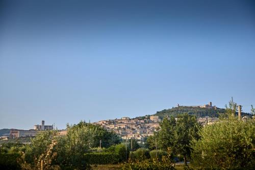 Santa Maria degli Angeli Apartment | Da Carla