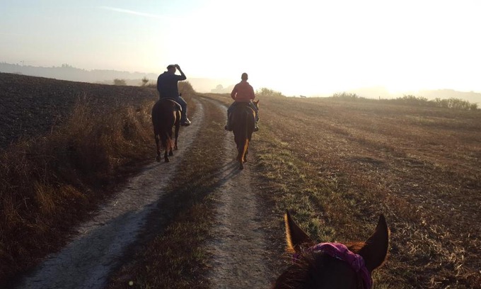 Siena Bed & Breakfast | DAGO Farmhouse