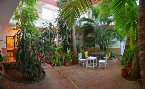 Mahabalipuram Beach House | Daphne Hotel