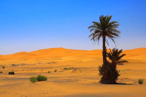 Hassilabied Bed & Breakfast | DAR MIRA DUNES Hassilabiad-Merzouga